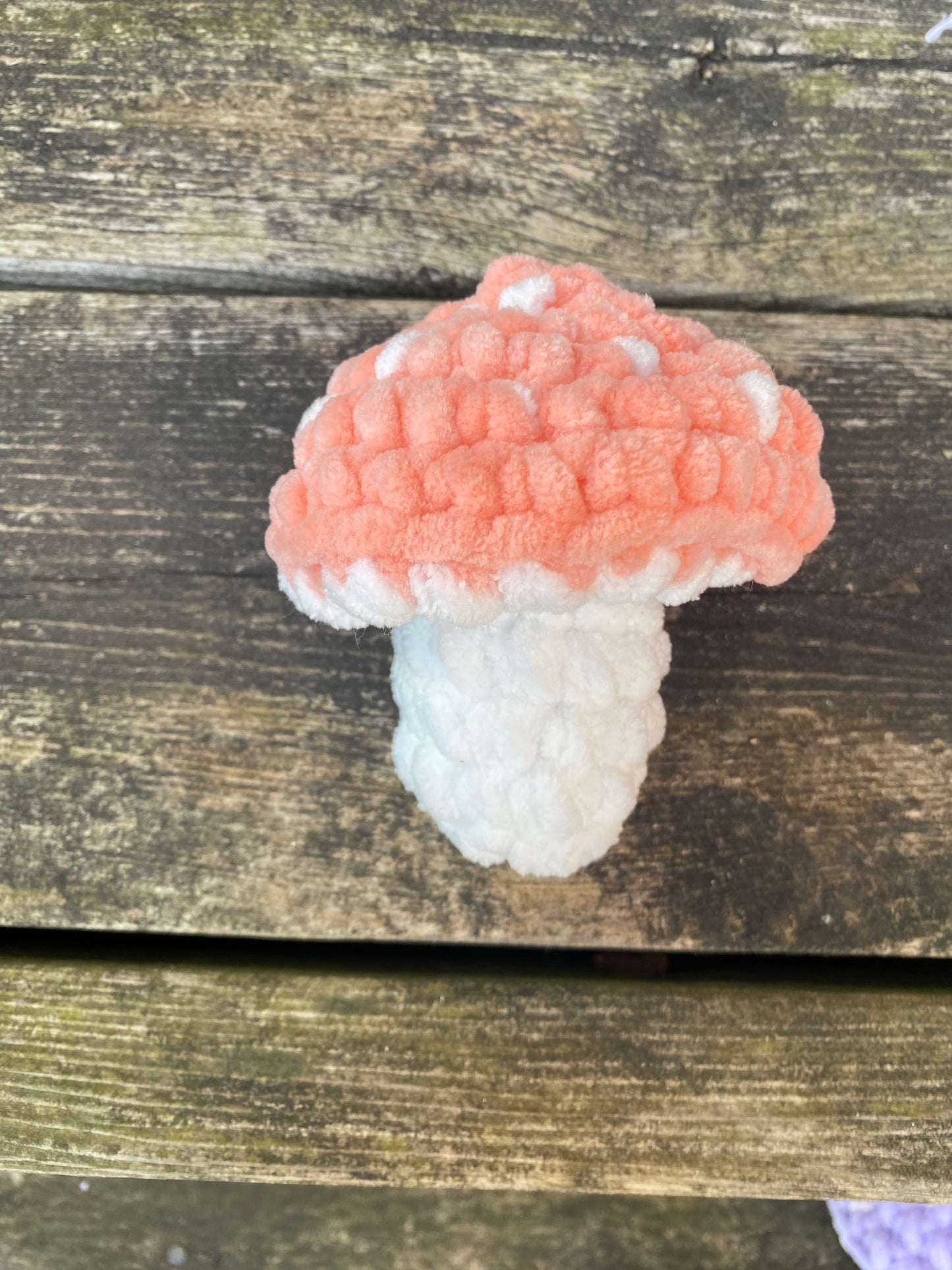 Hand Crochet Popping Mushroom