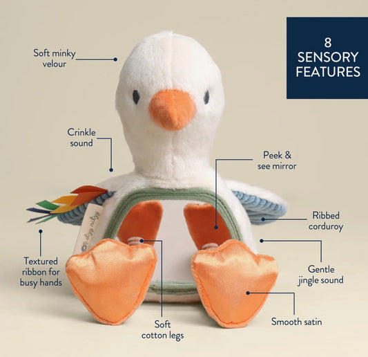 Itzy Bitzy Mirror - Goose
