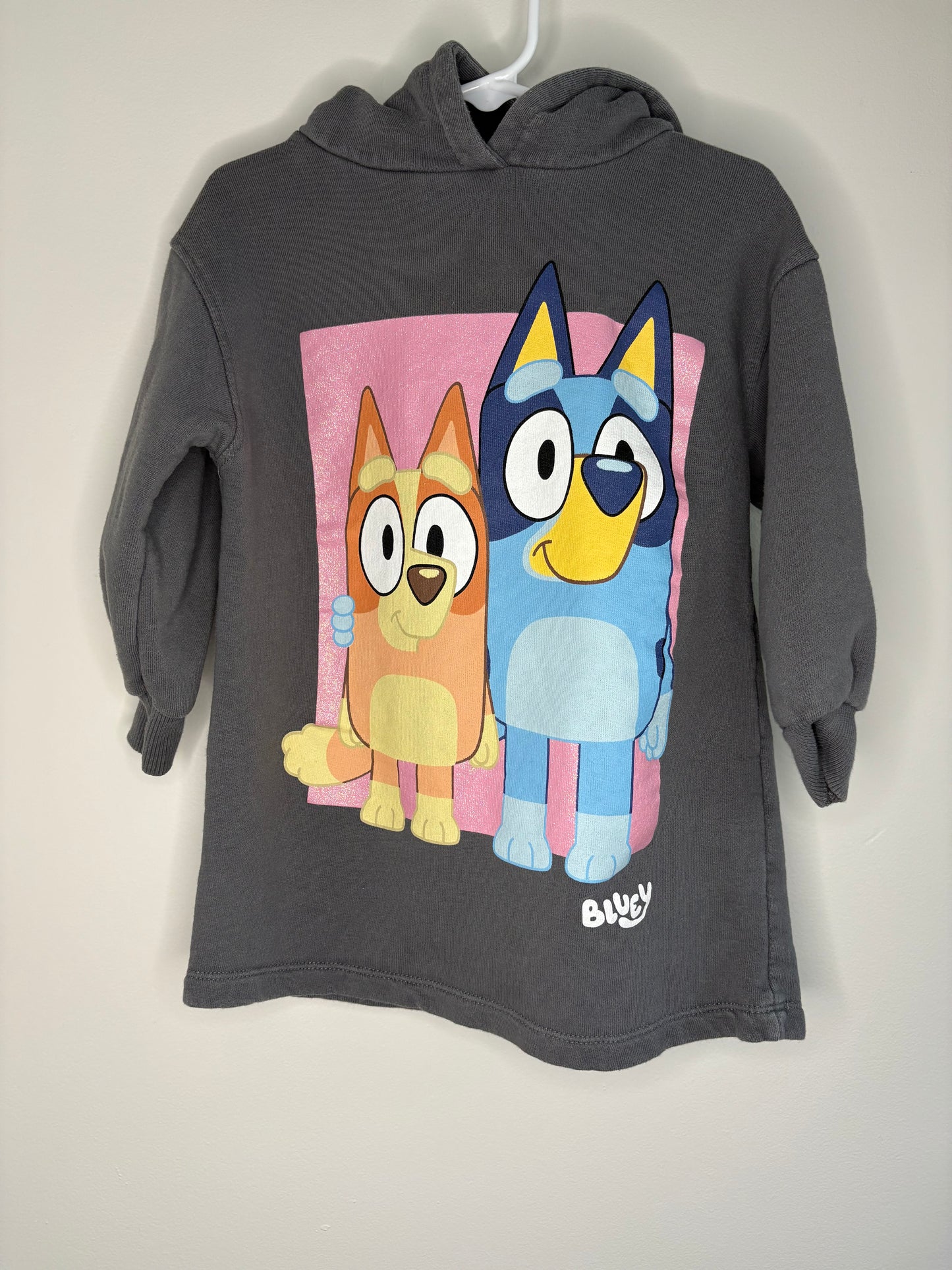 pre-loved :: 3-4T Bluey Sweater Dress