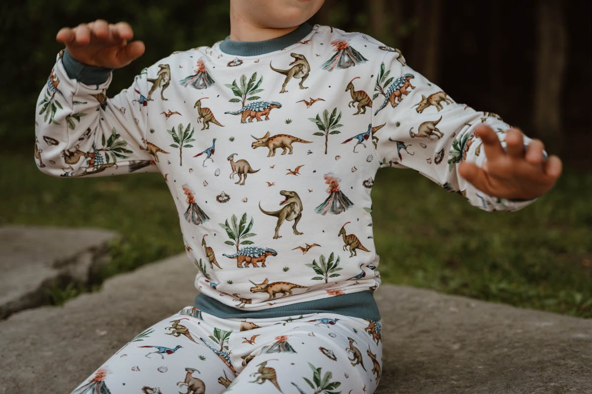 Crewneck Sweater - Dino