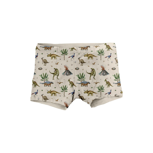 Boxer Briefs - Dino