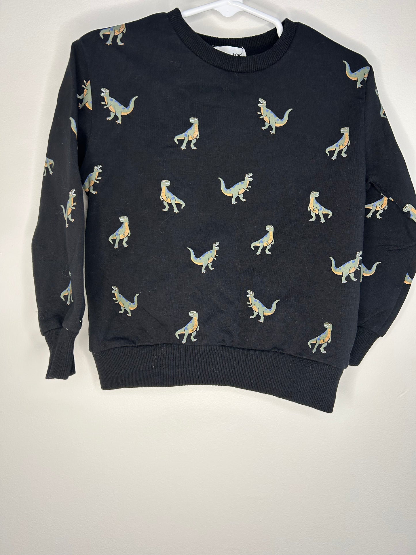 pre-loved :: 2T Dinosaur Crewneck