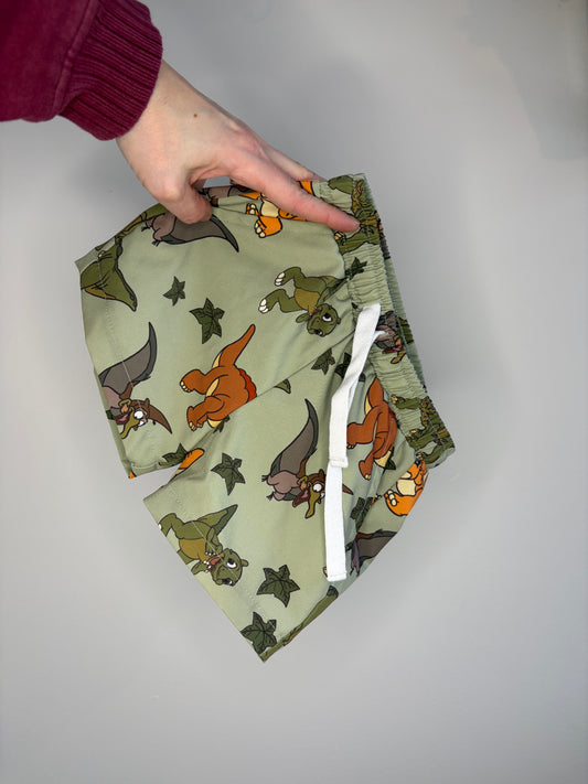 pre-loved :: 2-3T Land Before Time Swim Trunks