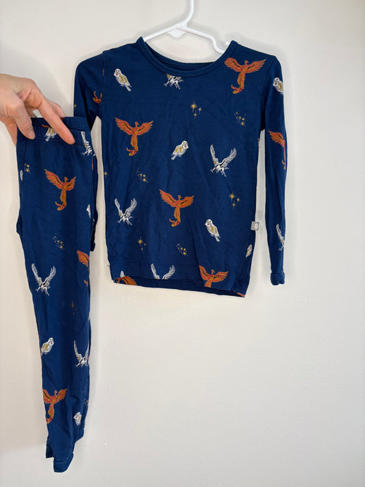 pre-loved :: 2T Harry Potter Bamboo Jammies