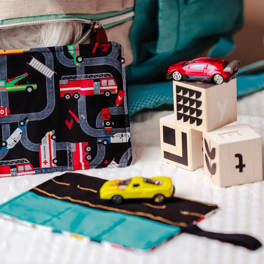 Tiny Owl Gifts - Car Travel Case